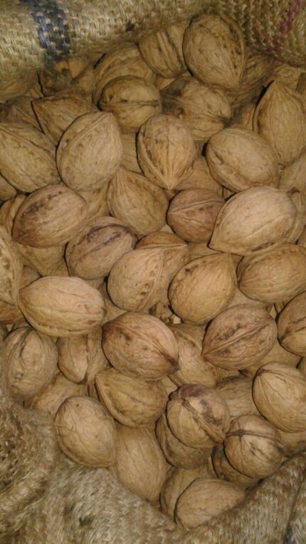 Whole Walnuts With Shell | Premium Kashmiri Walnuts